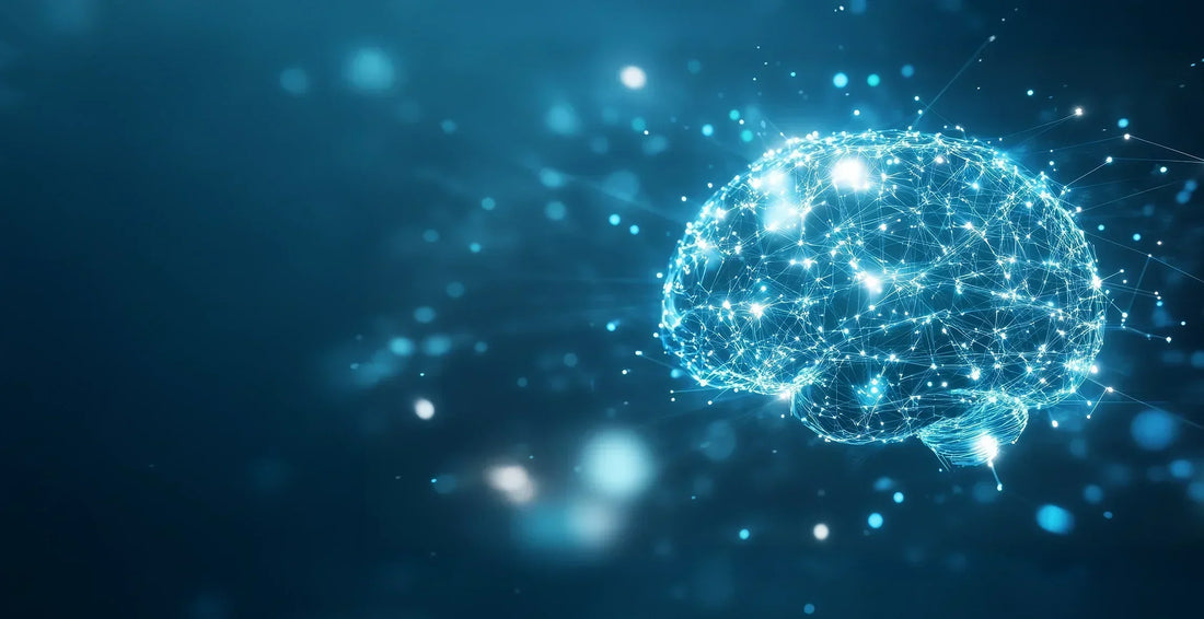 Lion's Mane i neurogeneza – czy grzyby mogą odbudować połączenia neuronowe?