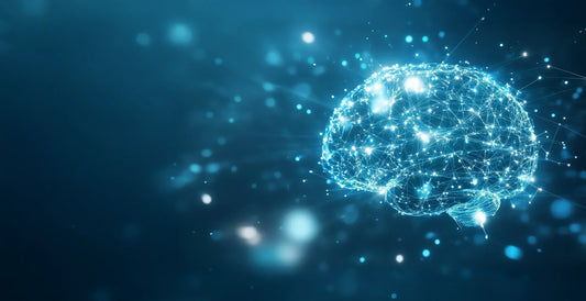 Lion's Mane i neurogeneza – czy grzyby mogą odbudować połączenia neuronowe?